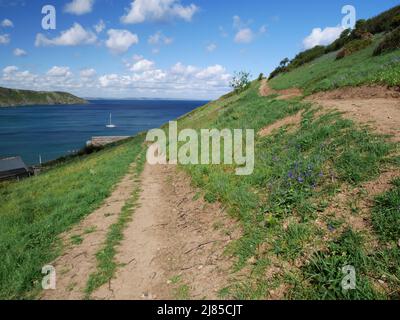 The cliff path at Gorran Haven, Cornwall. Stock Photo