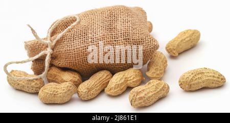 Fresh Peanuts in sack over white background Stock Photo