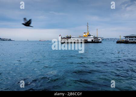 Istanbul, Turkey. 10th May, 2019. A ferry crosses the Bosphorus accompanied by a bird in the foreground. The maritime transport by ferries is a specificity of Istanbul. Despite the world's deepest tunnel under the Bosphorus for the metro and the inauguration of the new ''Canakkale 1915 Bridge'' in March 2022, the population and the 2019 newly elected mayor of Istanbul are promoting maritime transport to relieve road traffic and reduce CO2 emissions. (Credit Image: © Laurent Coust/SOPA Images via ZUMA Press Wire) Stock Photo