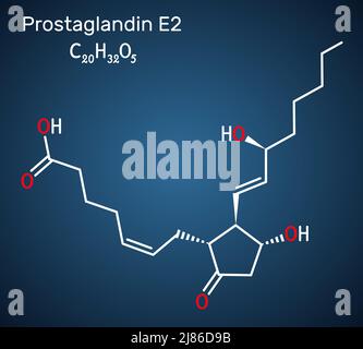 Prostaglandin E2, PGE2, dinoprostone molecule. It is used to induce labor or abortion. Structural chemical formula on the dark blue background. Vector Stock Vector