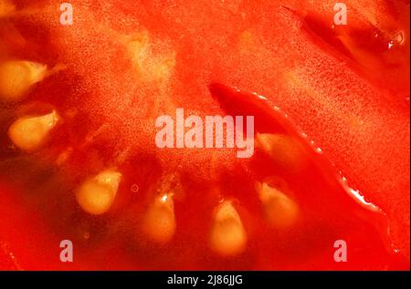 Slice of fresh tomato, pulp structure visible under 1.5x magnification microscope -  image width = 23mm Stock Photo