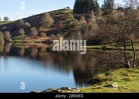 View of Tarn Hows in The Lake District National Park, some autumn colour and reflections in the water Stock Photo