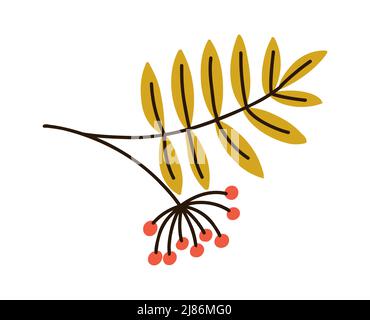 Autumn rowan branch. Leaves and berries. Vector hand drawn flat red berry Stock Vector