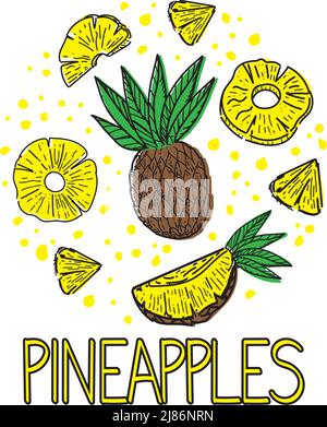A set of pineapples, drawn doodle elements in sketch style. Whole pineapple, parts, leaves, slices, core, juice drops, arranged in a circle. Vector il Stock Vector