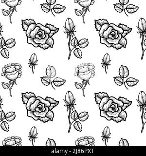 A seamless, hand-drawn doodle drawing of a rose in sketch style. Roses with leaves and buds. Flowers. Black outline drawing. Symbol. Valentine's Day. Stock Vector