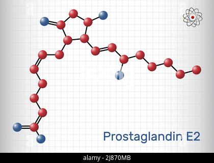 Prostaglandin E2, PGE2, dinoprostone molecule. Structural chemical formula and molecule model. Sheet of paper in a cage. Vector illustration Stock Vector