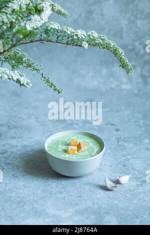 Cucumber soup in bowl on grey table background Stock Photo