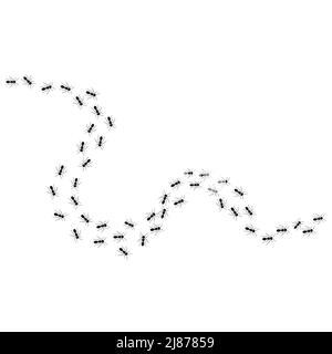 A path of ants running up. View from above. Vector illustration in flat cartoon style Stock Vector