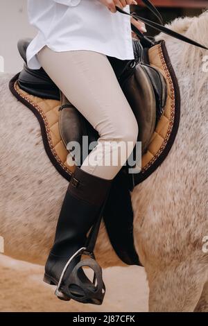 Close-up of a rider's legs in stirrups. A woman on a horse. Stock Photo