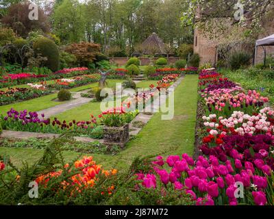 Chenies Manor Garden. Beautiful historic Sunken garden with ornamental pond, Tulip display in full colour; taken from under the Bramley apple tree. Stock Photo