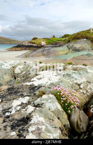 Abbey Island, the idyllic patch of land in Derrynane Historic Park, famous for ruins of Derrynane Abbey and cementery, located in County Kerry, Irelan Stock Photo
