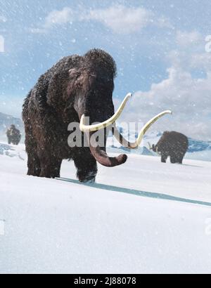 Artwork of a Woolly Mammoth Stock Photo