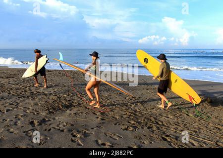 Three people, local and Caucasians walking towards the ocean carrying surfboards at Batu Bolong Beach in Canggu, Bali, Indonesia. Stock Photo