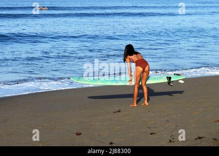 A young Indonesian Asian woman with long black hair wearing a brown bikini with a longboard surfboard at Batu Bolong Beach in Canggu, Bali, Indonesia Stock Photo