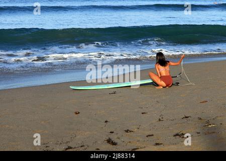 A young Indonesian Asian woman with long black hair wearing a brown bikini with a longboard surfboard at Batu Bolong Beach in Canggu, Bali, Indonesia Stock Photo