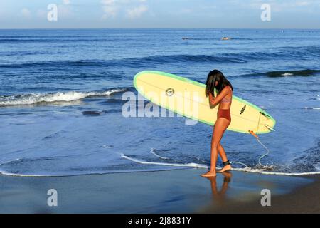 A young Indonesian Asian woman with long black hair wearing a brown bikini with a longboard surfboard at Batu Bolong Beach in Canggu, Bali, Indonesia Stock Photo