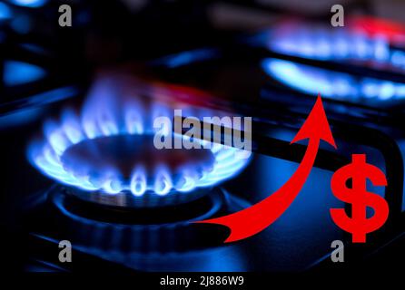 Gas burner on black modern kitchen stove with dollar sign Stock Photo