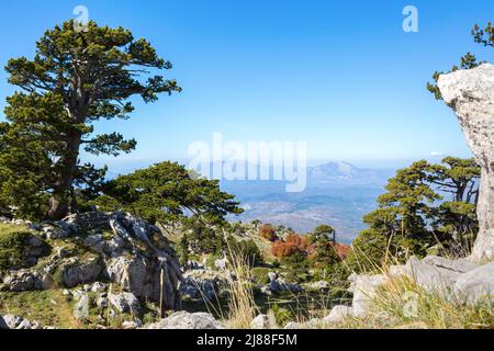 View from Serra Di Crispo, Pollino National Park, southern Italy. Stock Photo