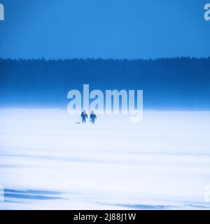 Two avid fishermans. Ice fishing in strong winds and snowdrifts on the Baltic Sea. Gulf of Finland Stock Photo