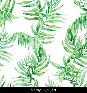 Chamaedorea palm leaf watercolor seamless pattern. Botanical illustration of tropical green foliage on isolated background. Exotic backdrop. Summer fa Stock Photo