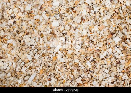 Close-up of a layer of sawdust from freshly sawn trees. Wood sawing waste used for heating. Stock Photo