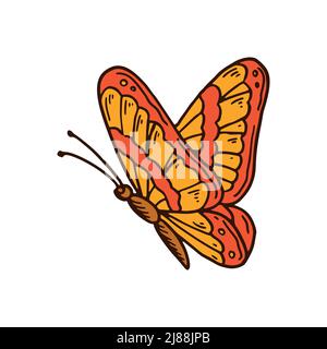 Hand drawn colorful orange butterfly. Vector illustration Stock Vector