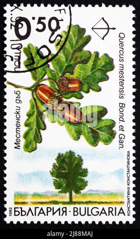 BULGARIA - CIRCA 1992: a stamp printed in the Bulgaria shows Oak, Quercus Mestensis, Quercus Robur subsp. Pedunculiflora, Deciduous Tree, circa 1992 Stock Photo