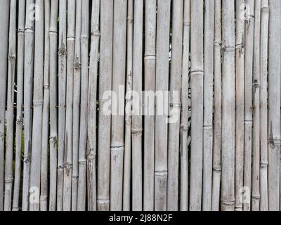 detail of a reed or bamboo mat made of dry gray canes . Graphic resource touse as background or blank for design Stock Photo