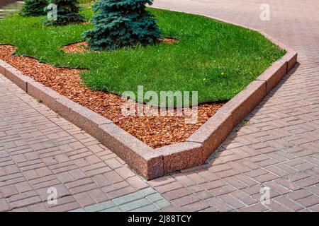 pine mulch on the garden bed on park. City scape landscape design with wooden chips on flower bed with pine trees lit by sun near green grass and gran Stock Photo