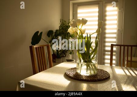 Spring flowers - white tulips in glass vase on wooden table Stock Photo
