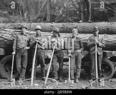 Five Idaho farmers, members of Ola self-help sawmill co-op, in the woods standing against a load of logs ready to go down to their mill about three miles away. Gem County, Idaho. Stock Photo