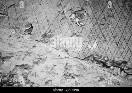 Ruins of supposed Spanish mission, Georgia. Stock Photo