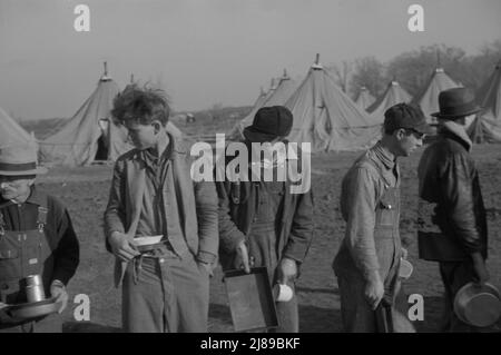 [Untitled photo, possibly related to: Refugees lined up at meal time in the camp for white flood refugees in Forest City, Arkansas]. Stock Photo