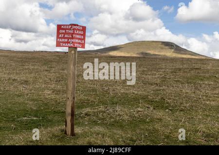 Sign keep dogs on lead because farm animals are present on the slope of the Sugar Loaf, Wales, UK Stock Photo