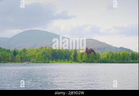 Loch Lomond during the summer in the evening Stock Photo