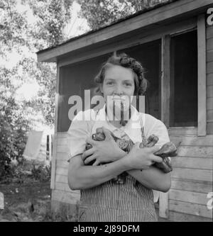 [Untitled, possibly related to: Mrs. Schrock takes good care of her family. Yakima Valley, Washington (near Wapato)]. Stock Photo