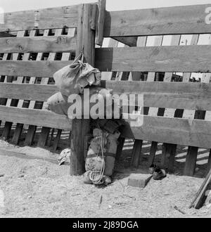 Bundles against cattle corrals by the railroad track. Washington, Yakima Valley, near Toppenish. Stock Photo