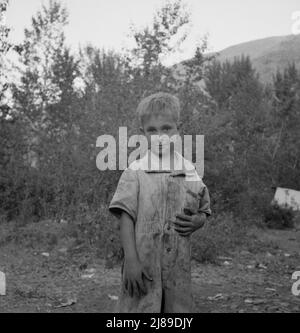 This is a younger brother who also picks hops. Washington, near Toppenish, Yakima Valley. Stock Photo