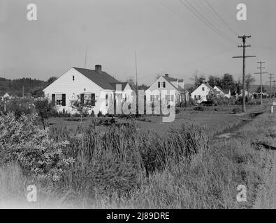 [Untitled, possibly related to: Washington, Cowlitz County, Longview. Down one street on Longview homestead project, several years after completion. Note fruit trees]. Stock Photo