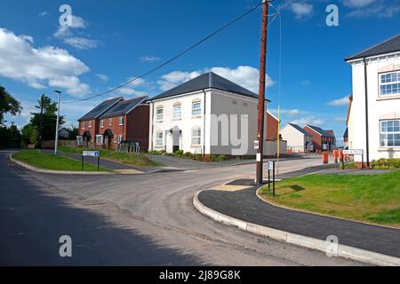 New Housing, Devon, UK Stock Photo