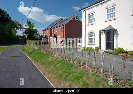 New Housing, Devon, UK Stock Photo