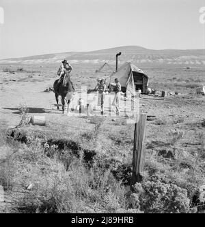 Fairbanks' home. Home Management Supervisor of FSA (Farm Security Administration) tries to persuade wife to screen tent. Willow Creek area, Malheur County, Oregon. Stock Photo
