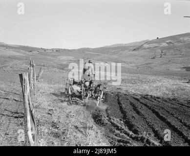 Young Idaho farmer plowing in the fall of the year while the other members of the Ola self-help sawmill co-op are working in the sawmill. The tractor does work for five member families. Gem County, Idaho. Stock Photo