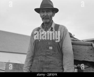 Stump farmer comes to town on a Saturday morning to bring in cream and do the shopping. Bonners Ferry, Idaho. Stock Photo