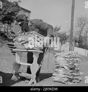 Washington, D.C. Mr. Venus Alsobrook, official salvage collector for the government wrapping old papers which he has gathered from all sections of the city. Stock Photo