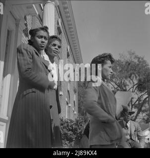 [Untitled photo, possibly related to: Daytona Beach, Florida. Bethune-Cookman College. Two teachers having a conversation on the steps of the administration]. Stock Photo