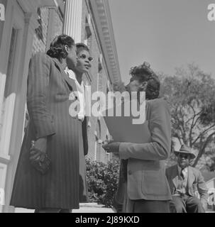 [Untitled photo, possibly related to: Daytona Beach, Florida. Bethune-Cookman College. Two teachers having a conversation on the steps of the administration]. Stock Photo