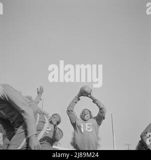 [Untitled photo, possibly related to: Daytona Beach, Florida. Bethune-Cookman College. Bethune-Cookman's champion football team]. Stock Photo