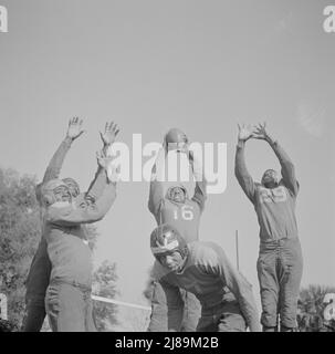 [Untitled photo, possibly related to: Daytona Beach, Florida. Bethune-Cookman College. Bethune-Cookman's champion football team]. Stock Photo