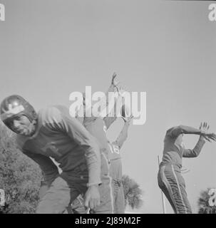 [Untitled photo, possibly related to: Daytona Beach, Florida. Bethune-Cookman College. Bethune-Cookman's champion football team]. Stock Photo